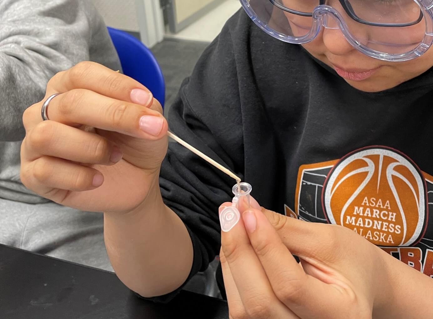 students extract DNA from a strawberry